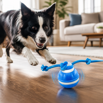 Smart Rolling Tug Toy