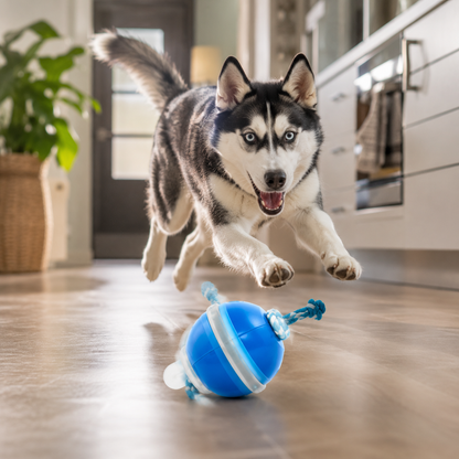 Smart Rolling Tug Toy