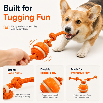 Smart Rolling Tug Toy