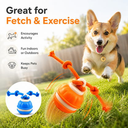 Smart Rolling Tug Toy