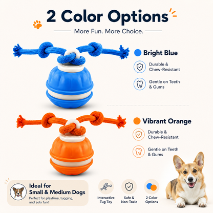 Smart Rolling Tug Toy