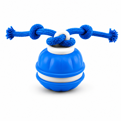 Smart Rolling Tug Toy