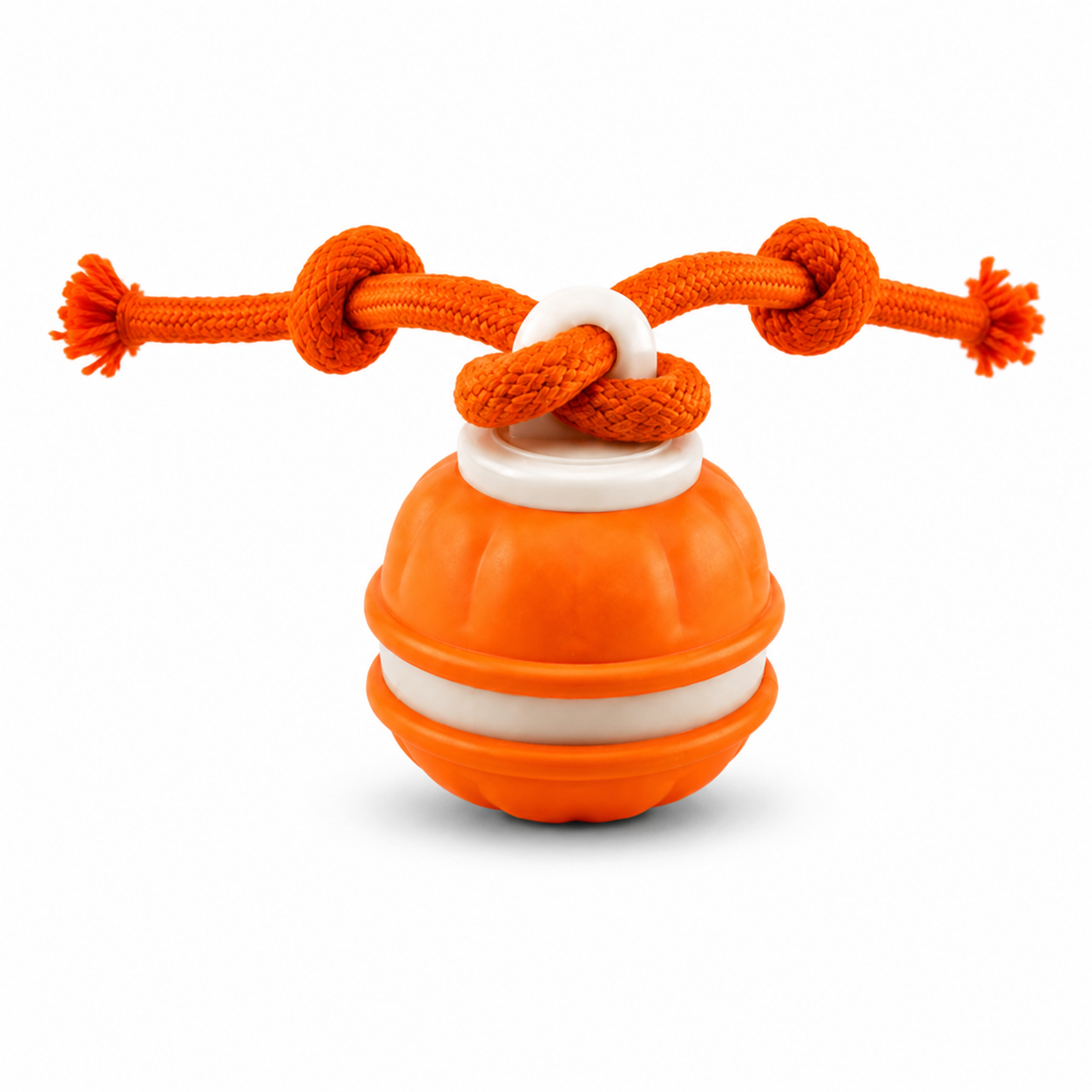 Orange (with birdsong)