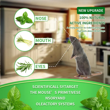 12 Pack Peppermint Pest Repellent Balls - Mice Rats Spiders Gone! ✅