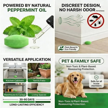 12 Pack Peppermint Pest Repellent Balls - Mice Rats Spiders Gone! ✅